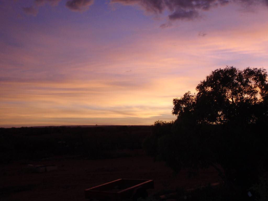 Ningaloo Bed And Breakfast Exmouth Dış mekan fotoğraf